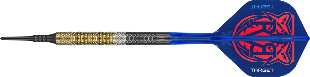 Target Raymond Van Barneveld GEN6 Softdarts