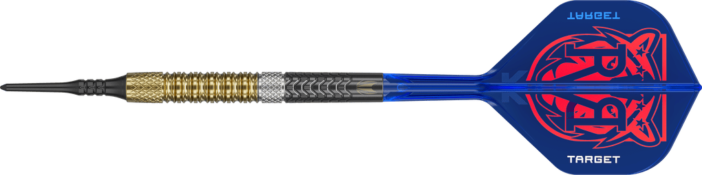 Targetuj w miękkie rzutki Raymond Van Barneveld GEN6