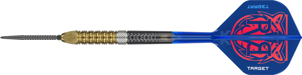 Targetuj w stalowe rzutki Raymond Van Barneveld GEN6 Swiss Point
