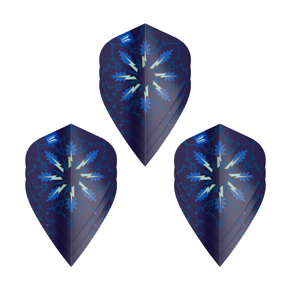 Abgebildet sind Target ProUltra Phil Taylor Power Gx2 Kite Flights - 3 Sets. Diese Flights werden für Dartpfeile verwendet.
