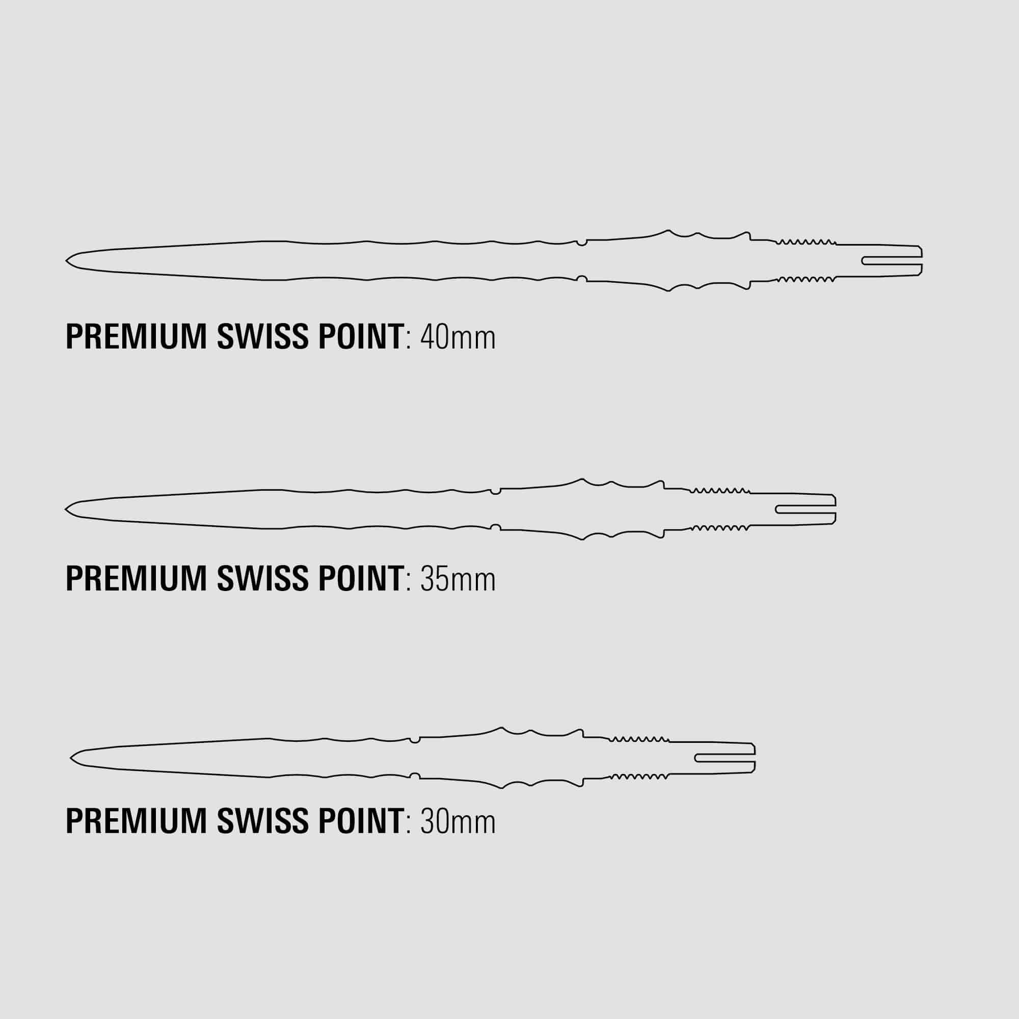 Końcówki do lotek Target Japan Premium Swiss Point – srebrne Die Abbildung zeigt die Target Japan Premium Swiss Point Dartspitzen in Silber. Die Spitzen sind speziell für professionelle Dartspiele hergestellt.