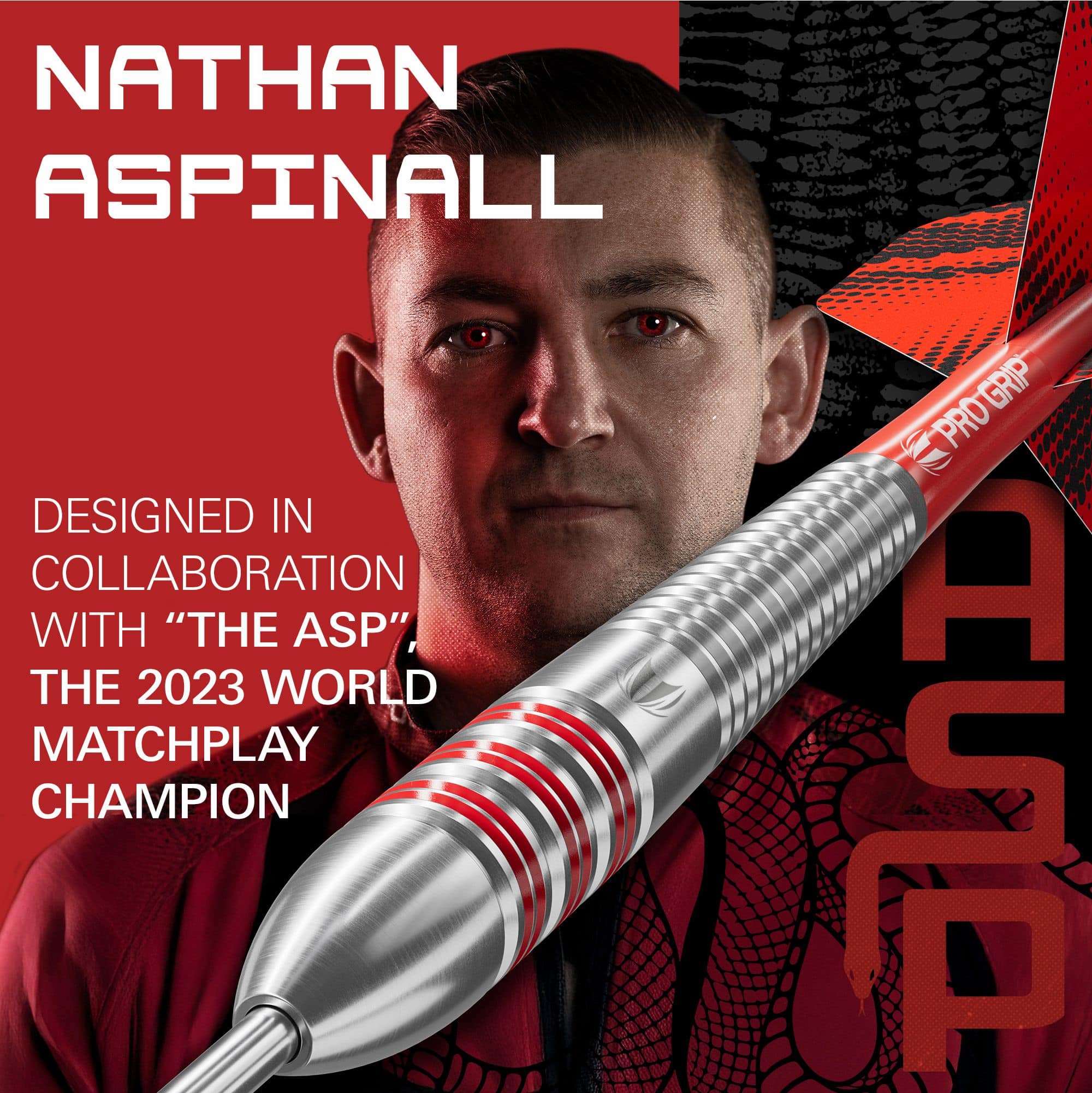 Lotki ze stali mosiężnej Nathan Aspinall Target - 22 g Abgebildet sind die Target Nathan Aspinall Brass Steeldarts, Gewicht 22g. Dieses Produkt wird speziell für Steeldartspieler angeboten.