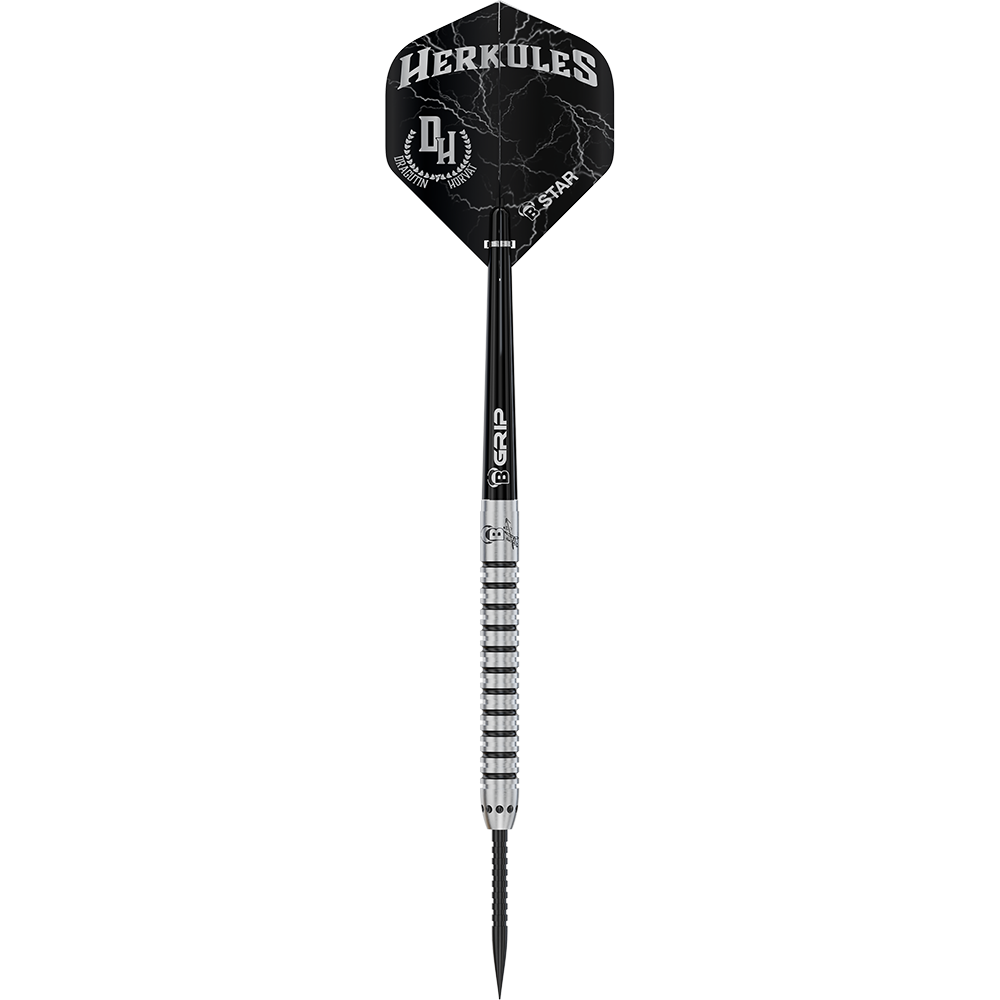 Bulls Challenger Dragutin Horvat Steeldarts - 21g