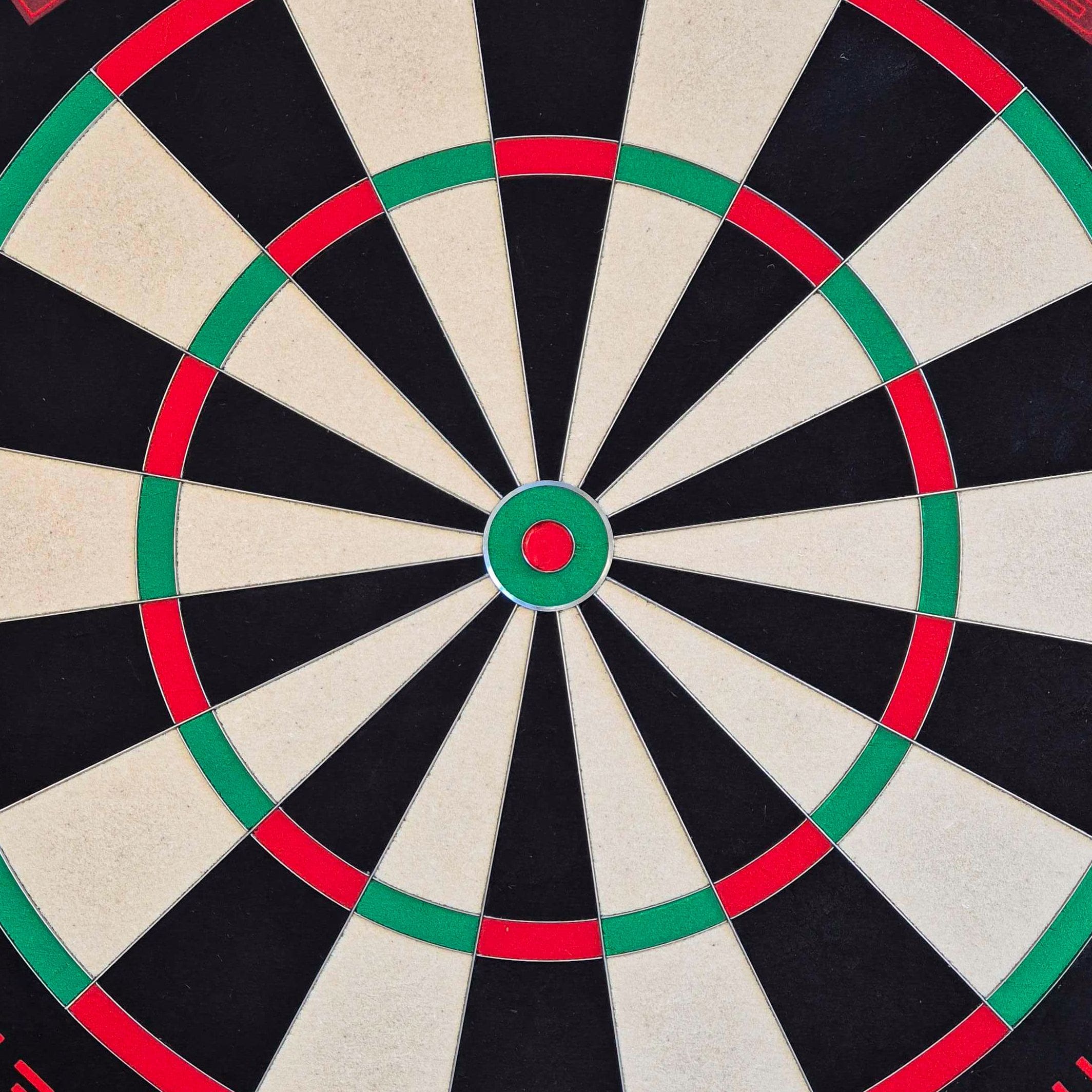 Tarcza do darta Target TOR EVO ze stali