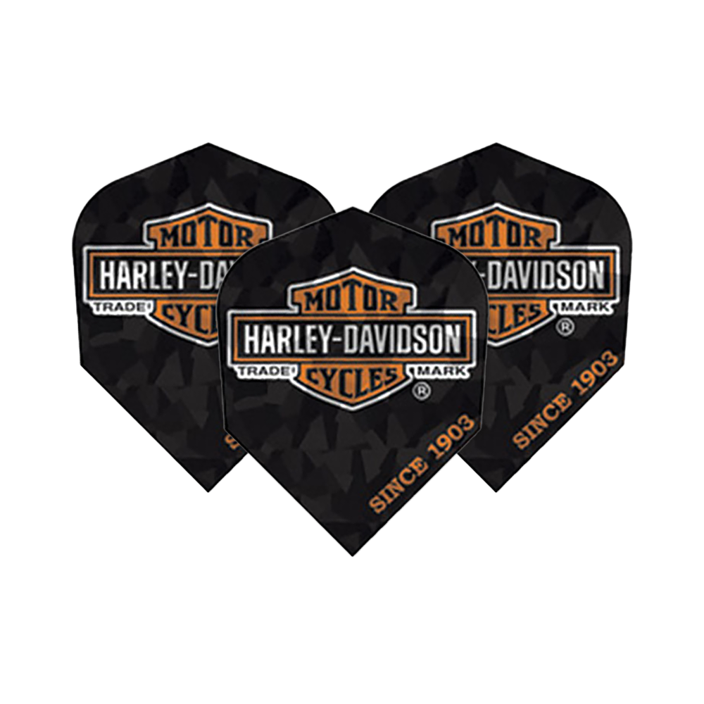Hologram Harley-Davidson OilCan nr 2 Standardowe loty
