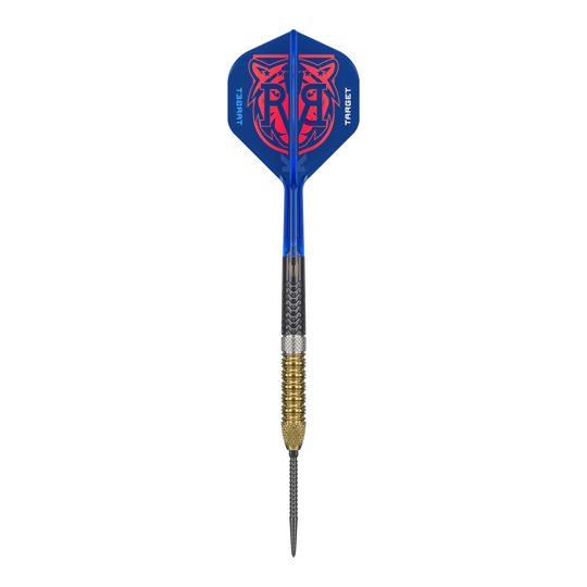 Abgebildet sind die Target Raymond Van Barneveld GEN6 Swiss Point Steeldarts. Diese Steeldarts bieten erstklassige Qualität und Präzision.