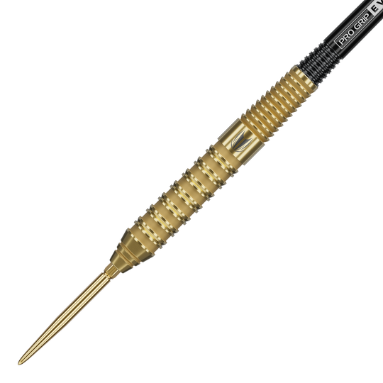 Stalowe lotki Target Bolide Envy 02 Swiss Point Zu sehen sind Target Bolide Envy 02 Swiss Point Steeldarts. Sie bieten eine elegante Gestaltung und gute Griffigkeit.