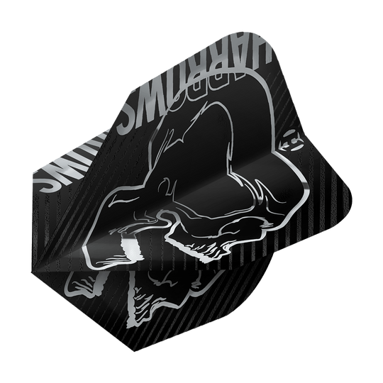 Harrows Rage Silver No6 Flights Das Bild zeigt ein schwarzes Dartflight mit einem silbernen Totenkopf-Design. Oben ist der Schriftzug "HARROWS" in Silber zu sehen.