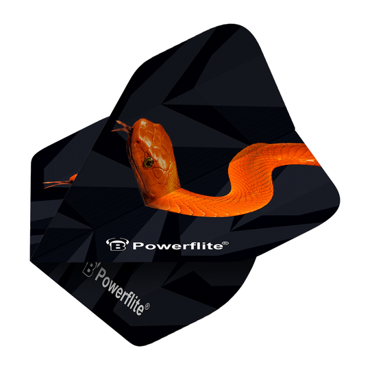 Das Bild zeigt die Bulls Powerflite Mamba No2 Standard Flights für Darts. Auf den Flights ist eine orangefarbene Schlange auf schwarzem Hintergrund abgebildet.