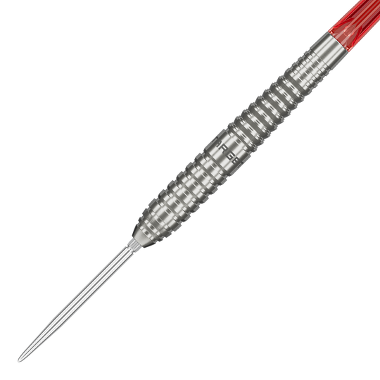Grupa docelowa O 01 Swiss Points Steeldarts
