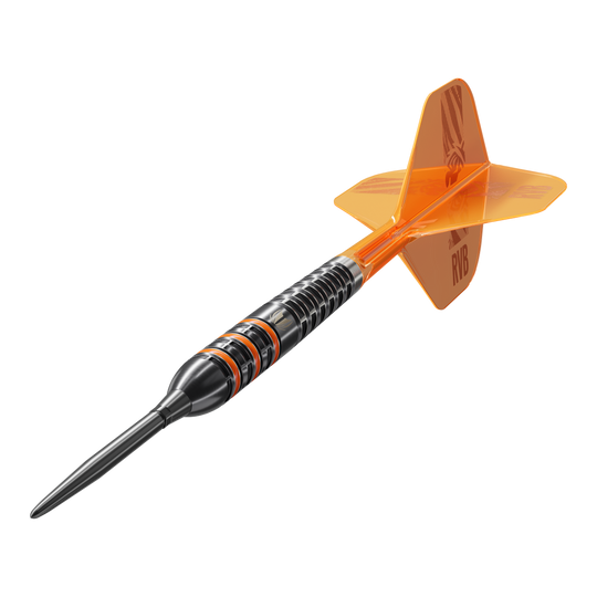 Targetuj w Steeldarts Raymonda Van Barnevelda o wartości 95 tys. punktów szwajcarskich