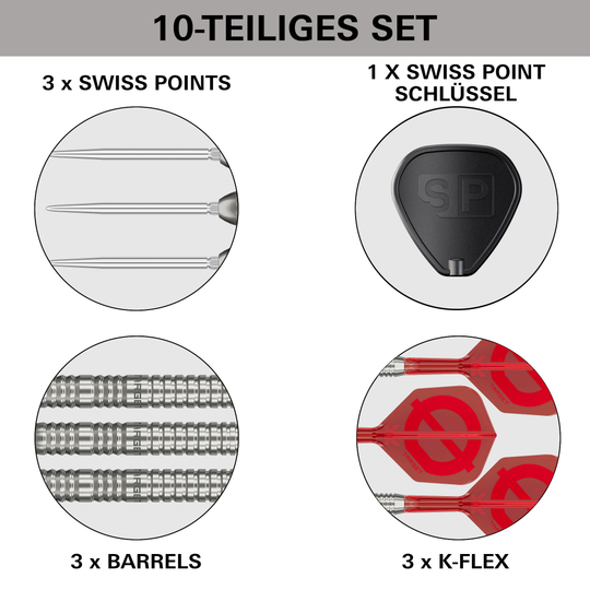 Grupa docelowa O 03 Swiss Points Steel Darts