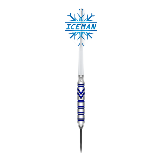 Rzutki ze stali mosiężnej Red Dragon Gerwyn Price - 21 g Red Dragon Gerwyn Price Brass Steeldarts - 21 g sind auf dem Foto zu sehen. Die Steeldarts zeichnen sich durch ihr elegantes Aussehen aus.