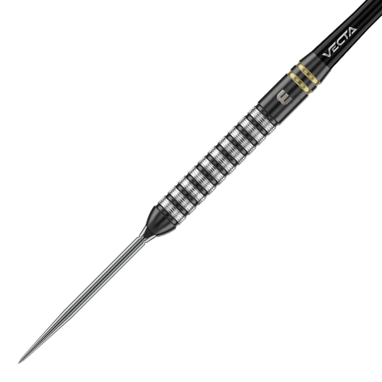 Stalowe rzutki Winmau Gian Van Veen TS Switch Point Das Foto zeigt Winmau Gian Van Veen TS Switch Point Steeldarts. Der Dartpfeil ist detailliert abgebildet.