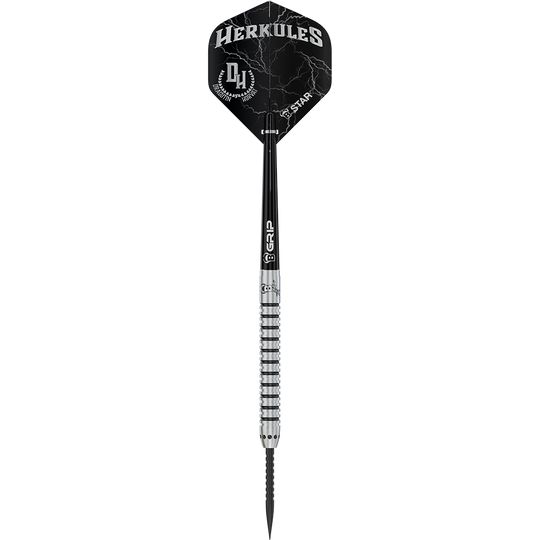 Bulls Challenger Dragutin Horvat Steeldarts - 21g