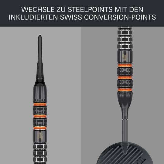 Miękkie rzutki Target Raymond Van Barneveld 95K - 20g