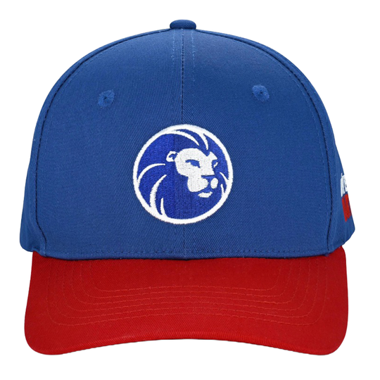 Czapka z kolekcji Lion Gezeigt wird eine Cap aus der Löwen Kollektion. Sie ist perfekt für Fans des Dartspiels geeignet.