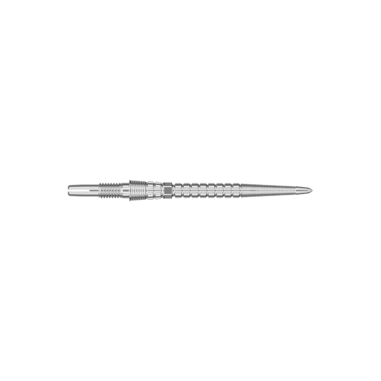 Zwei silberfarbene Dartspitzen werden angezeigt. Die Spitzen sind parallel und nebeneinander ausgerichtet.
