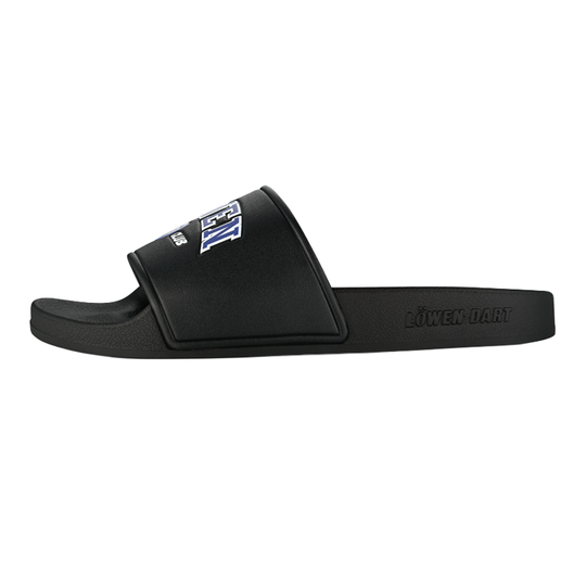 Dieses Foto stellt die Löwen Kollektion DARTIletten Schuhe dar. Ideal geeignet für Liebhaber des Dartsports.