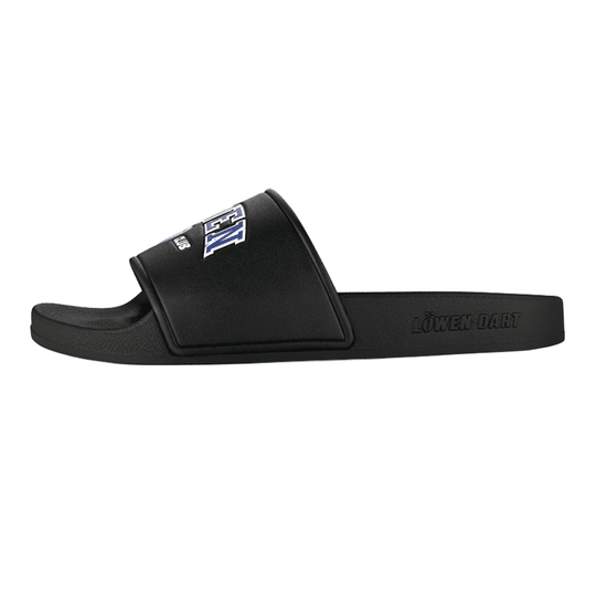 Kolekcja Löwen DARTIletten Dieses Foto stellt die Löwen Kollektion DARTIletten Schuhe dar. Ideal geeignet für Liebhaber des Dartsports.