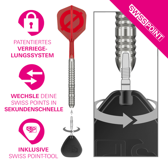 Grupa docelowa O 03 Swiss Points Steel Darts
