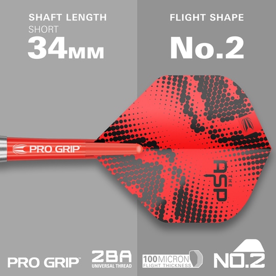 Lotki ze stali mosiężnej Nathan Aspinall Target - 22 g Das Bild präsentiert die Target Nathan Aspinall Brass Steeldarts, 22g. Dieses Set ist für das Spielen von Steeldarts konzipiert.