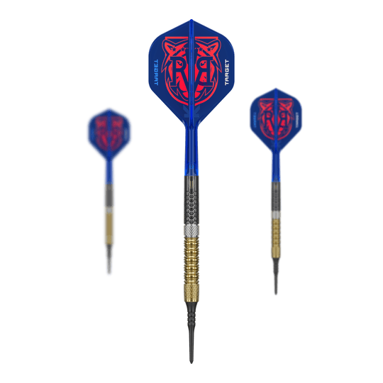 Targetuj w miękkie rzutki Raymond Van Barneveld GEN6 Das Bild zeigt das Target Raymond Van Barneveld GEN6 Softdarts Set. Alle enthaltenen Darts und Zubehörteile sind zusammen zu sehen.