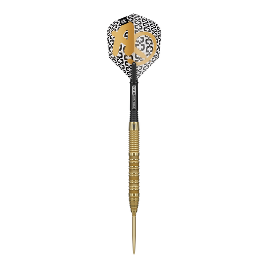 Stalowe lotki Target Bolide Envy 01 Swiss Point Das Bild zeigt die Target Bolide Envy 01 Swiss Point Steeldarts. Diese Darts sind für anspruchsvolle Dartspieler geeignet.