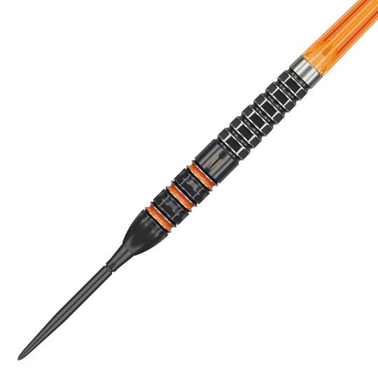 Targetuj w Steeldarts Raymonda Van Barnevelda o wartości 95 tys. punktów szwajcarskich