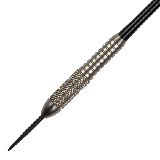 Target Phil Taylor Power Silverlight Variante 1 Steeldarts