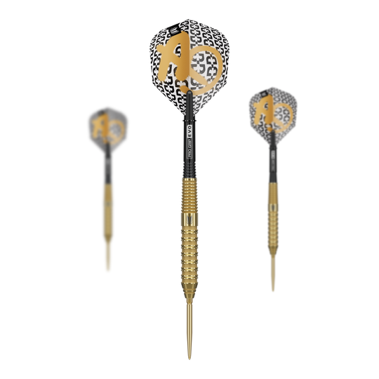 Stalowe lotki Target Bolide Envy 02 Swiss Point Das Produkt Target Bolide Envy 02 Swiss Point Steeldarts ist hier dargestellt. Es zeigt ein komplettes Set dieser Steeldarts.