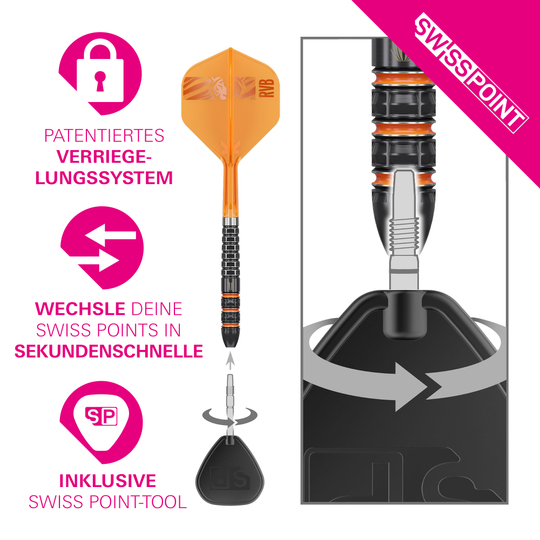 Targetuj w Steeldarts Raymonda Van Barnevelda o wartości 95 tys. punktów szwajcarskich Targetuj w Steeldarts Raymonda Van Barnevelda o wartości 95 tys. punktów szwajcarskich