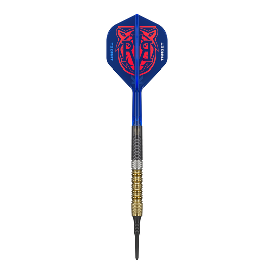 Das Bild zeigt die Target Raymond Van Barneveld GEN6 Softdarts. Die Darts sind deutlich sichtbar dargestellt.
