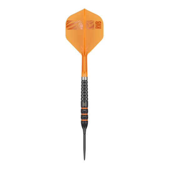 Targetuj w Steeldarts Raymonda Van Barnevelda o wartości 95 tys. punktów szwajcarskich